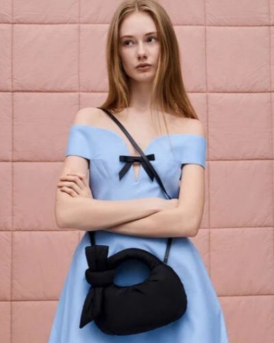 Discover The Charm Of Women's Bow Belt Bags-1